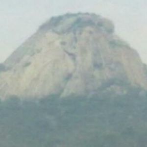 Meet your Posher, Alan